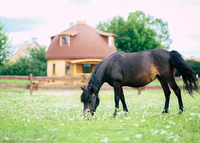 Grzybek Maison Champignon *